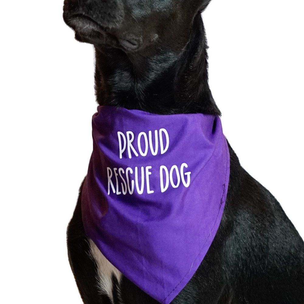 Proud Rescue Dog Bandana Purple